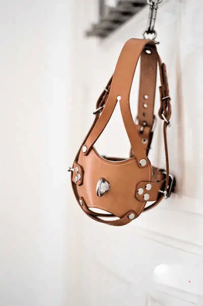 西檬之家探讨m倾向的心理与实践现状 一