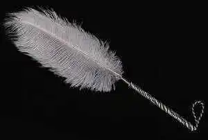 西檬之家2025年sp小圈发展趋势及社群解析 一