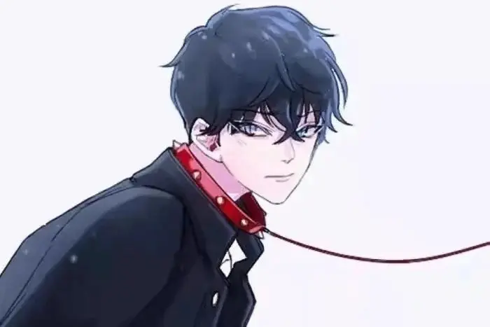 西檬之家字母圈中的DOM角色到底是什么意思?如何成为一名优秀的支配者? 一