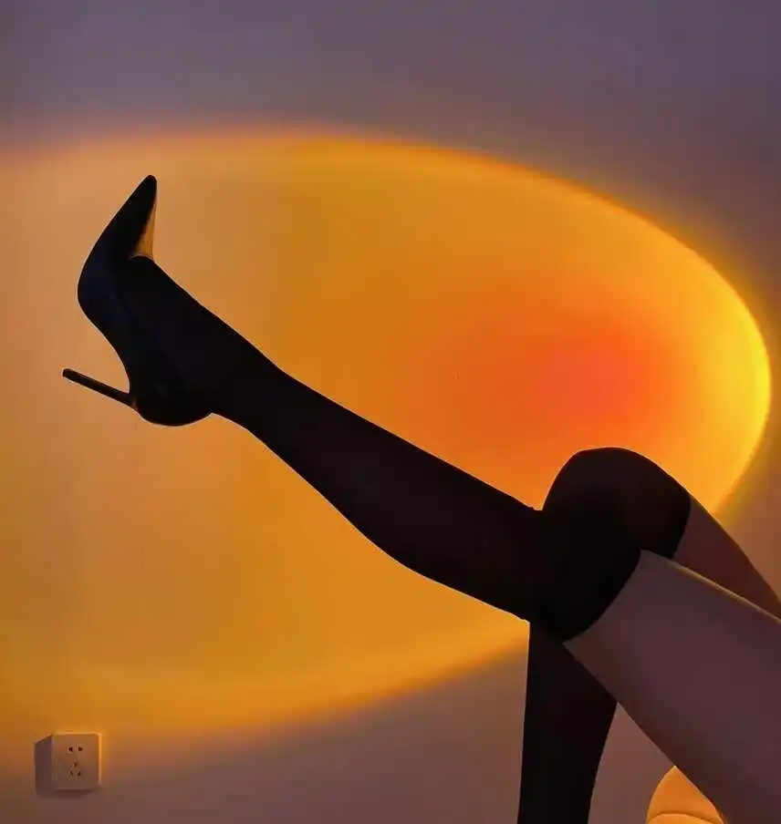 西檬之家K9犬系入门指南:探索你的犬角色与实践技巧 一