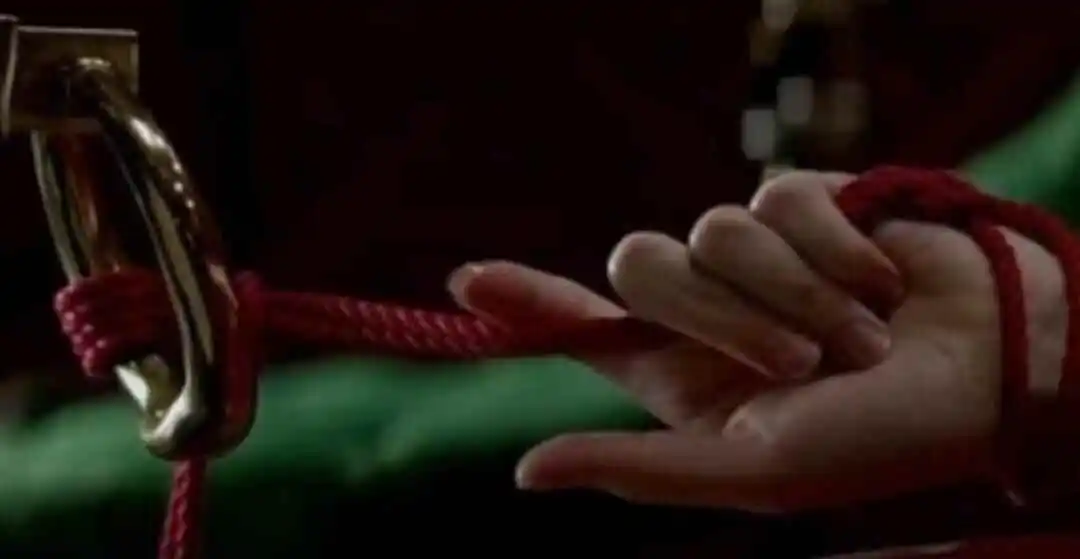 西檬之家探索SP小圈:初心者的完全指南与必知技巧 一