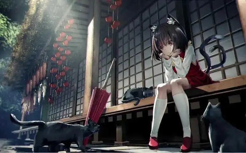 西檬之家BDSM入圈指南:如何找到属于你的字母圈之旅 一