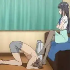 西檬之家2025年s倾向解读与发展趋势分析 一