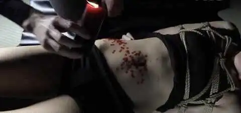 西檬之家字母圈入圈新手指南,2025年如何安全探索BDSM世界 一