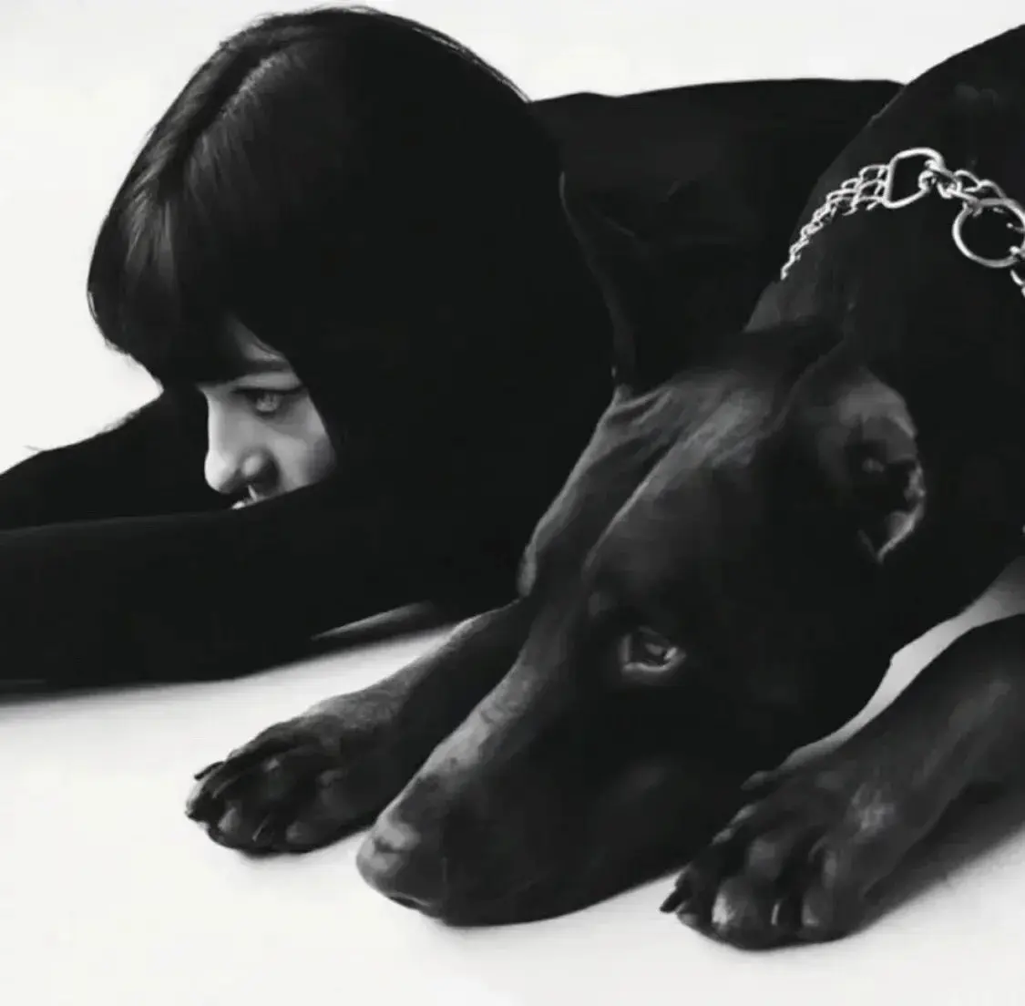 西檬之家字母圈入门指南:新手必读的安全与乐趣探索 一