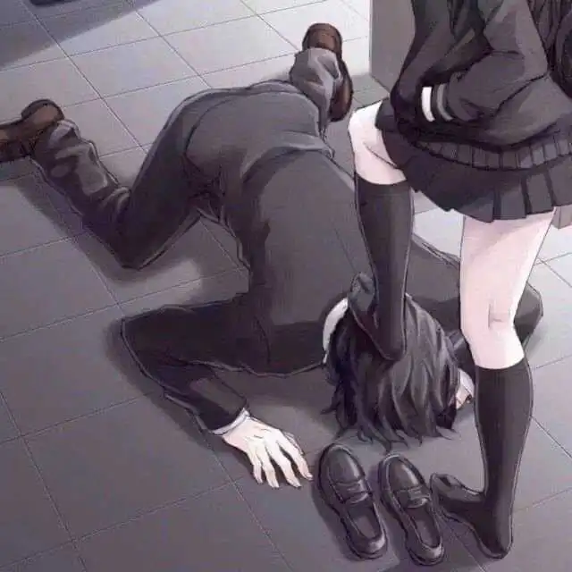 西檬之家K9是什么?字母圈中的新趣味探索 一