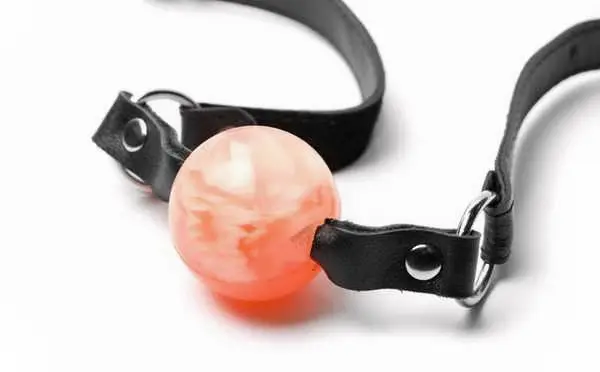 西檬之家女王在字母圈中扮演的角色是什么? 一