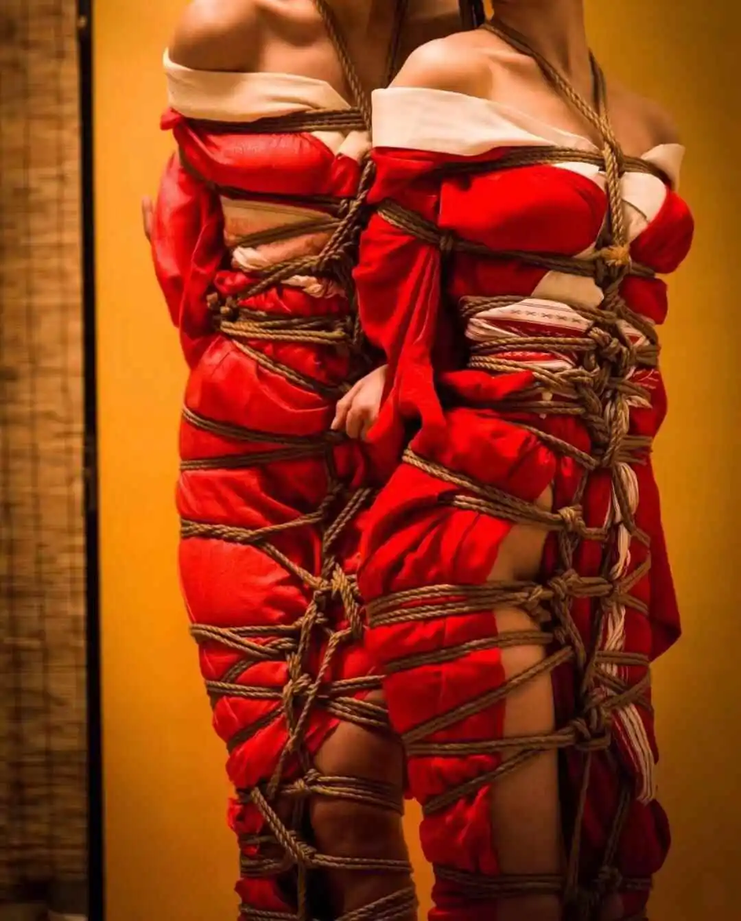 西檬之家k9是什么?字母圈新手必知的核心概念解析 一