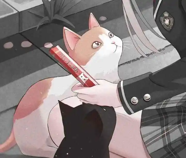 西檬之家字母圈的大圈是什么?深入了解它的魅力与规则 一