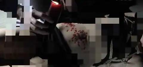 西檬之家BDSM入圈新人必看指导与资源解析 一