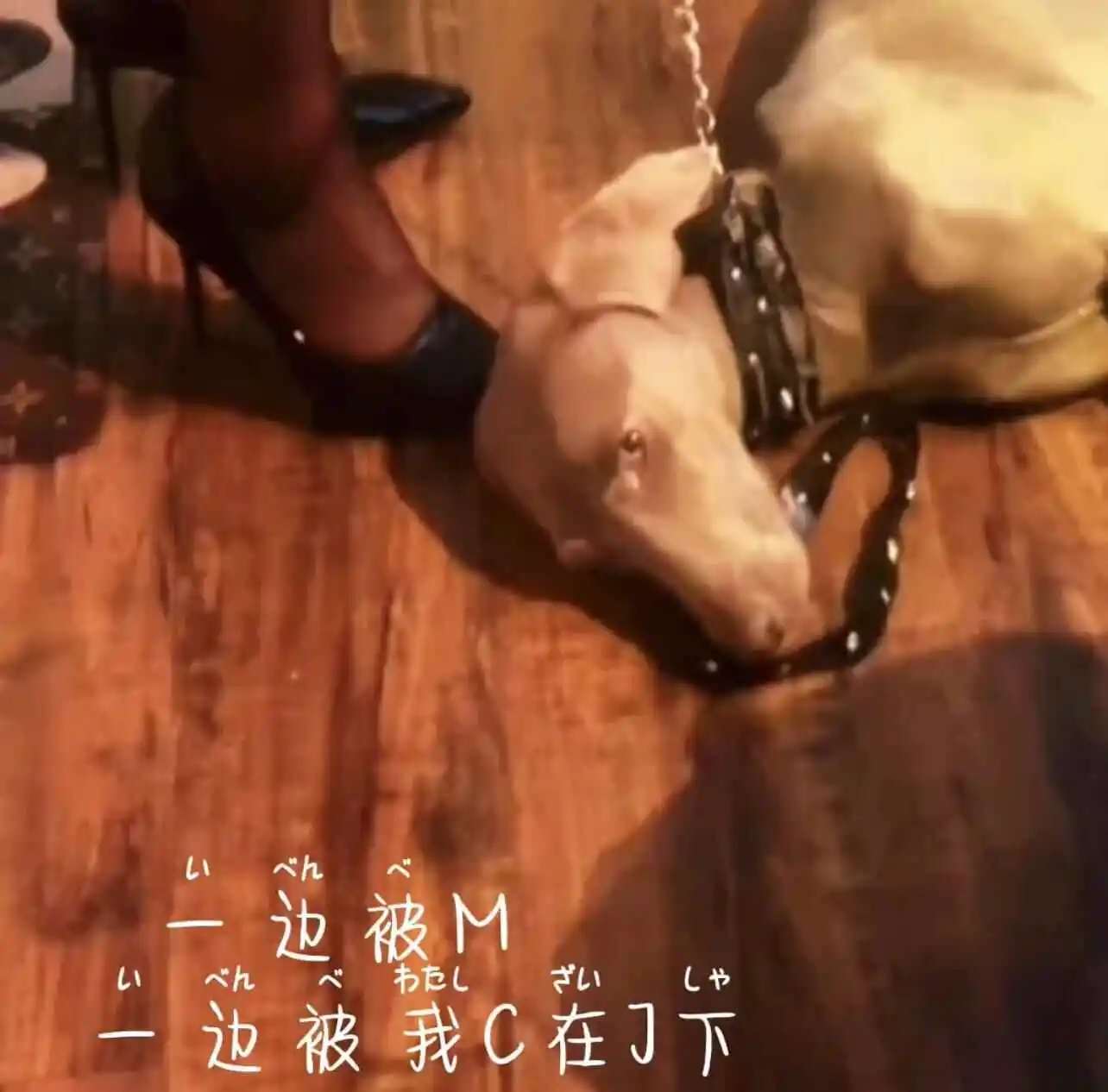 西檬之家k8是什么? 一