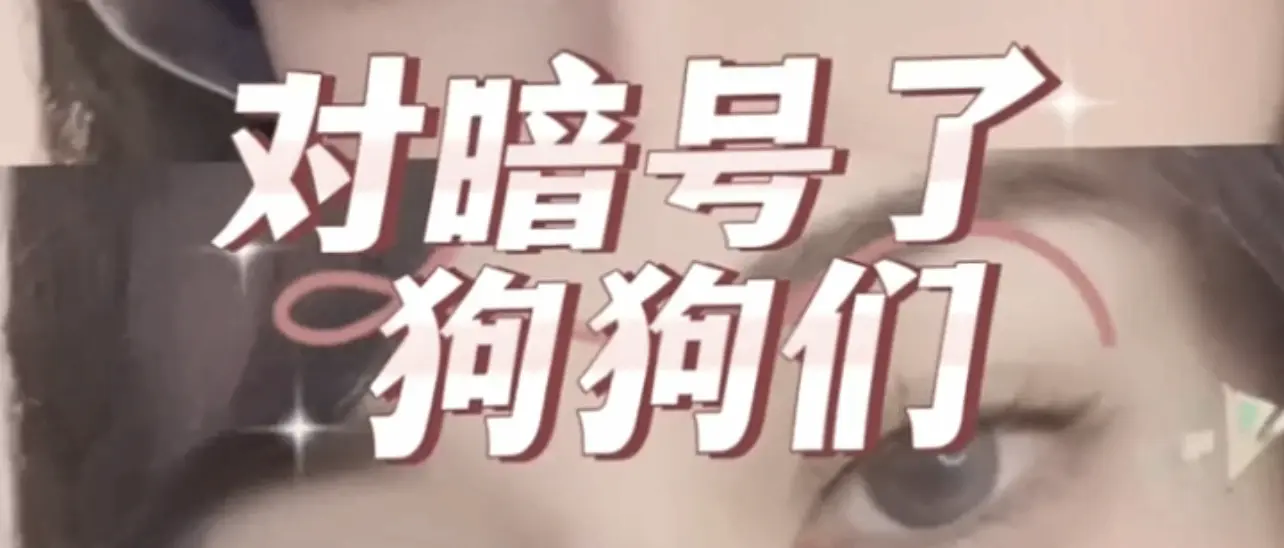 西檬之家TS是什么意思?字母圈新人入圈 一