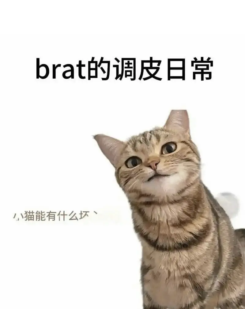 西檬之家Sub是什么?你的字母圈属性 一