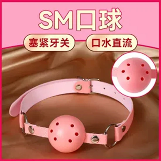 西檬之家K9犬系是什么? 一