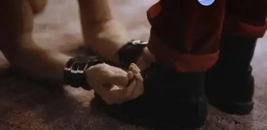 西檬之家s属性是什么意思? 一