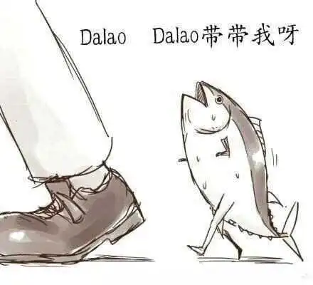 西檬之家字母圈switch是什么意思 一