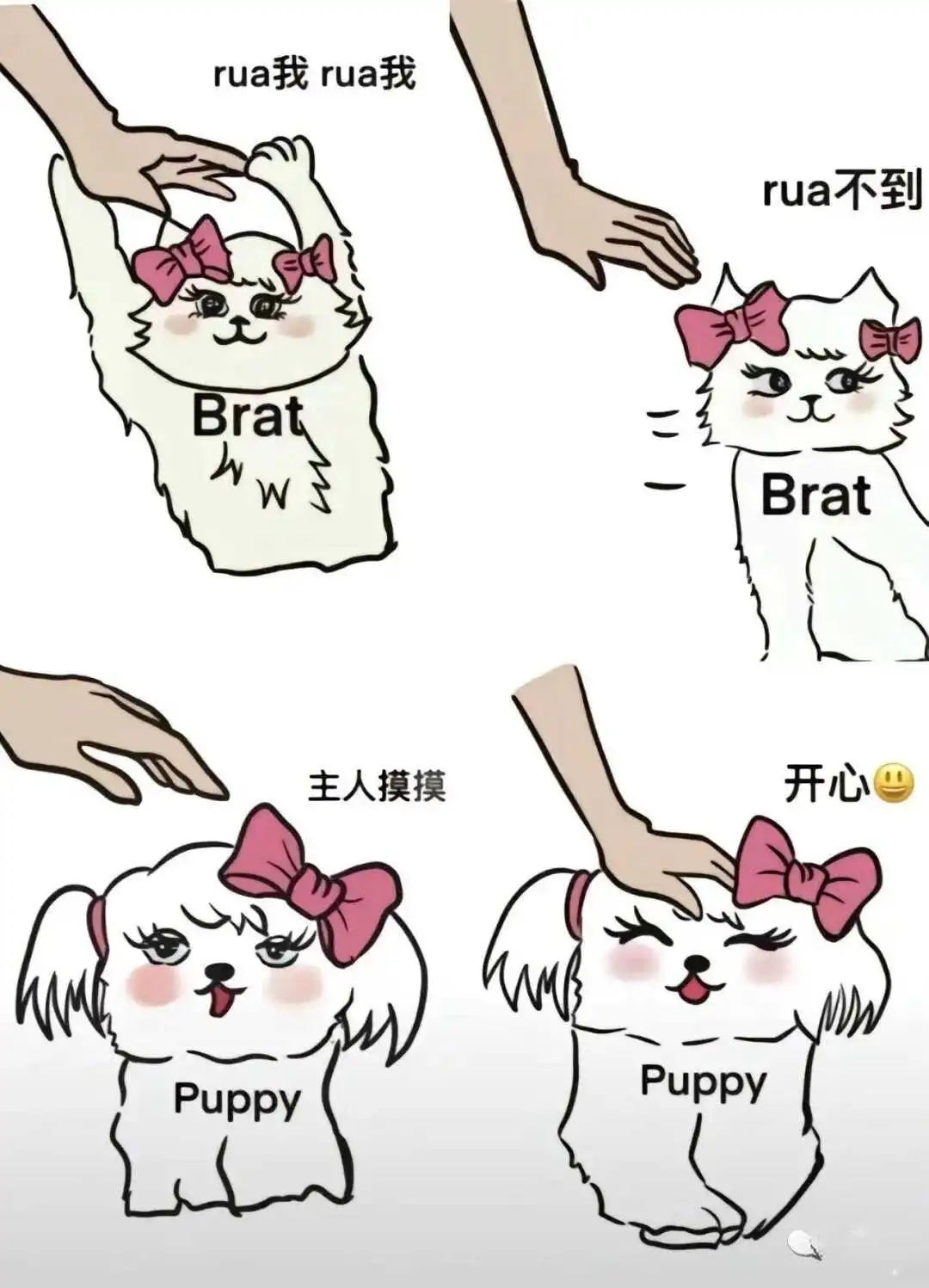 西檬之家TKTickle是什么意思? 一