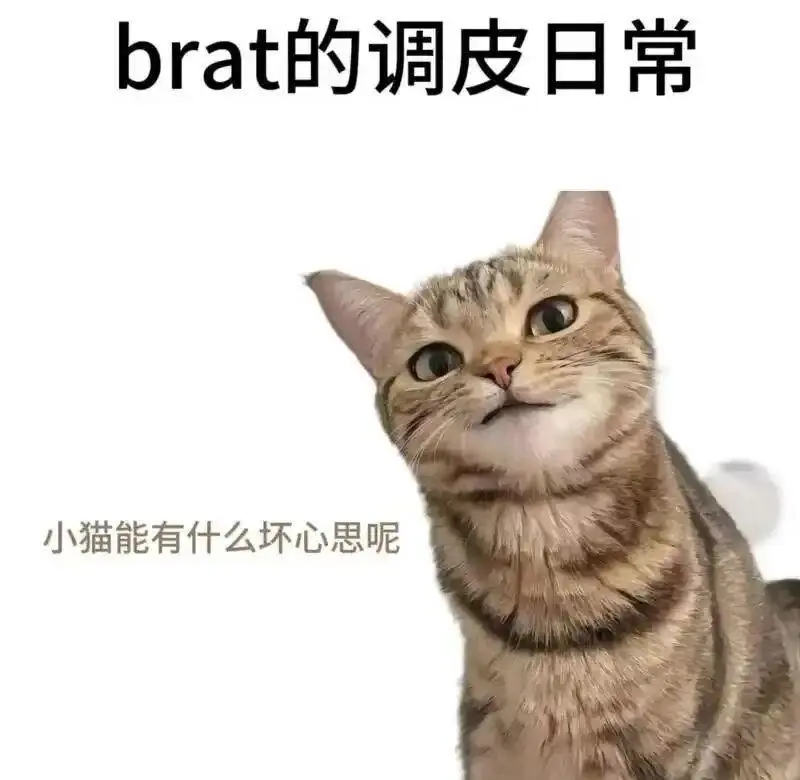 西檬之家斯慕圈是什么意思? 一