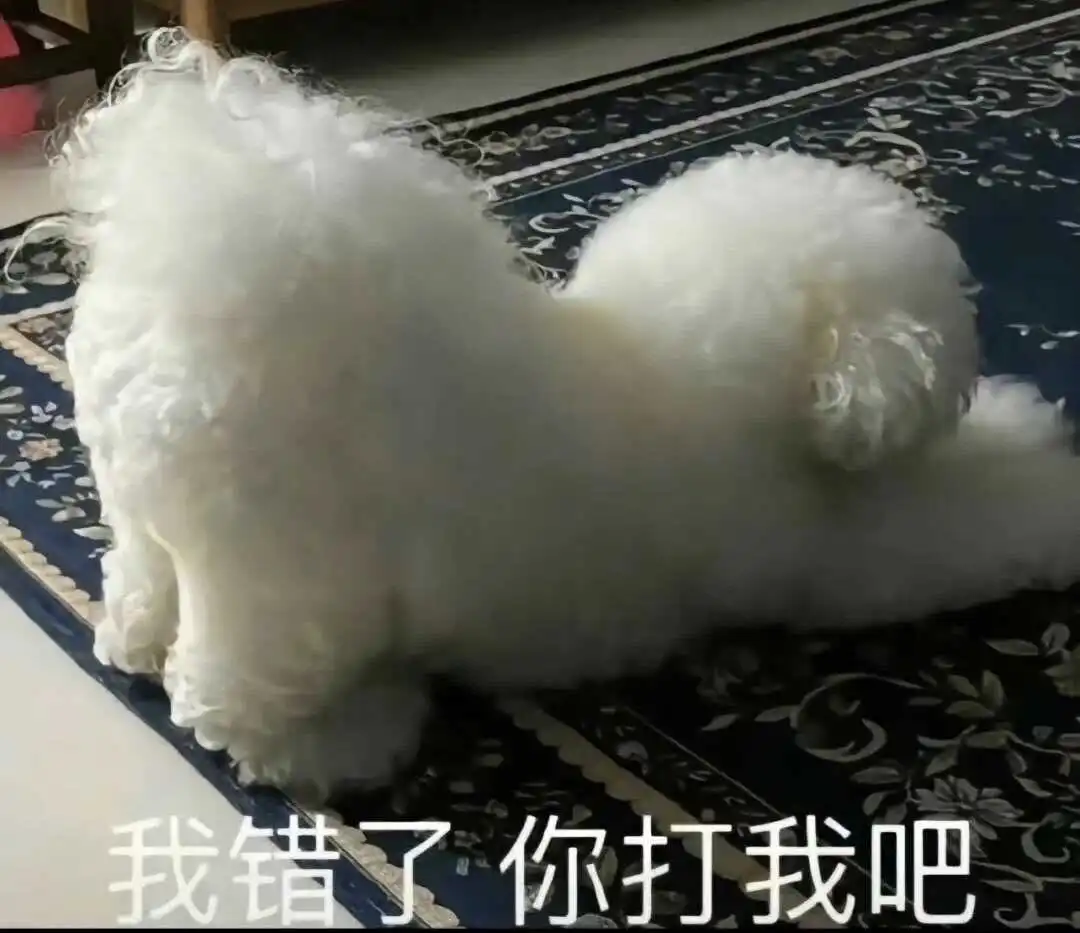 西檬之家dom是什么意思?如何理解字母圈支配者? 一