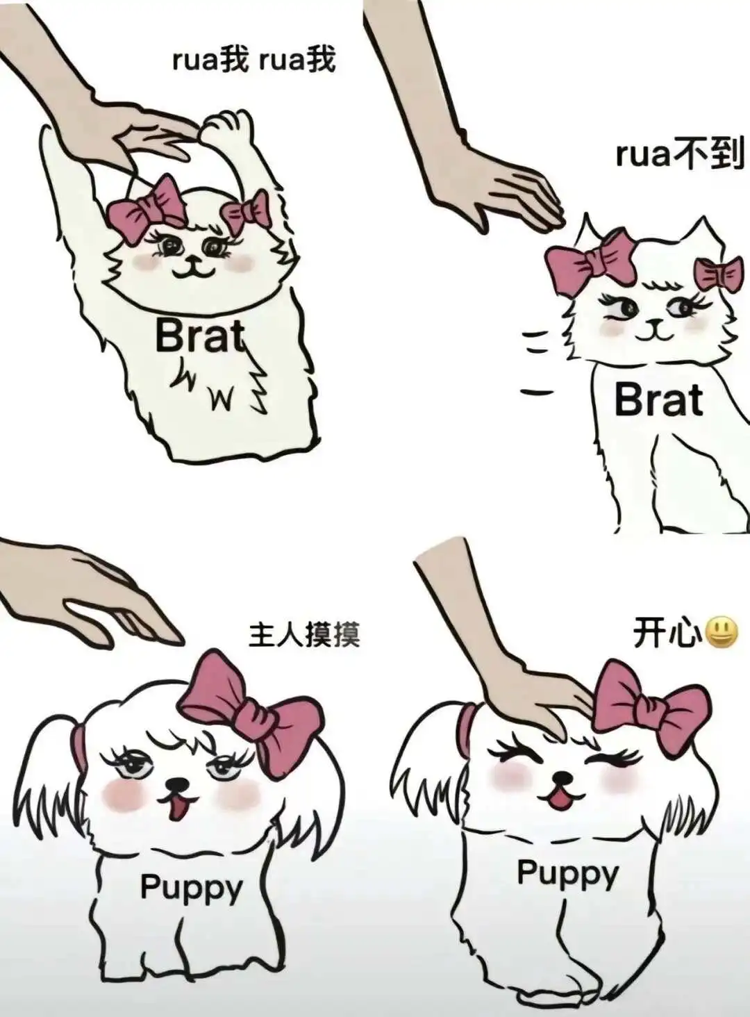 西檬之家CD是什么意思? 一