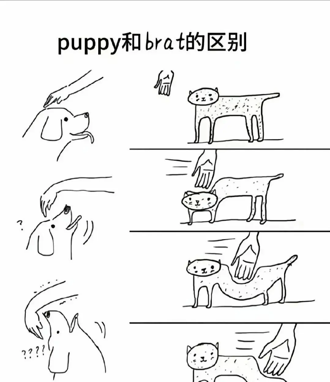 西檬之家字母圈Spank是什么意思? 一